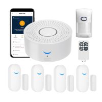 Smart Alarm Kit – Door & Motion Sensors